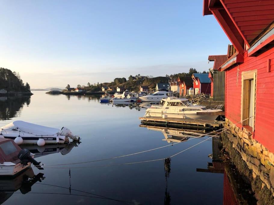 Koselig Stort Gardshus, M/boblebad. Bat Leies Holiday home