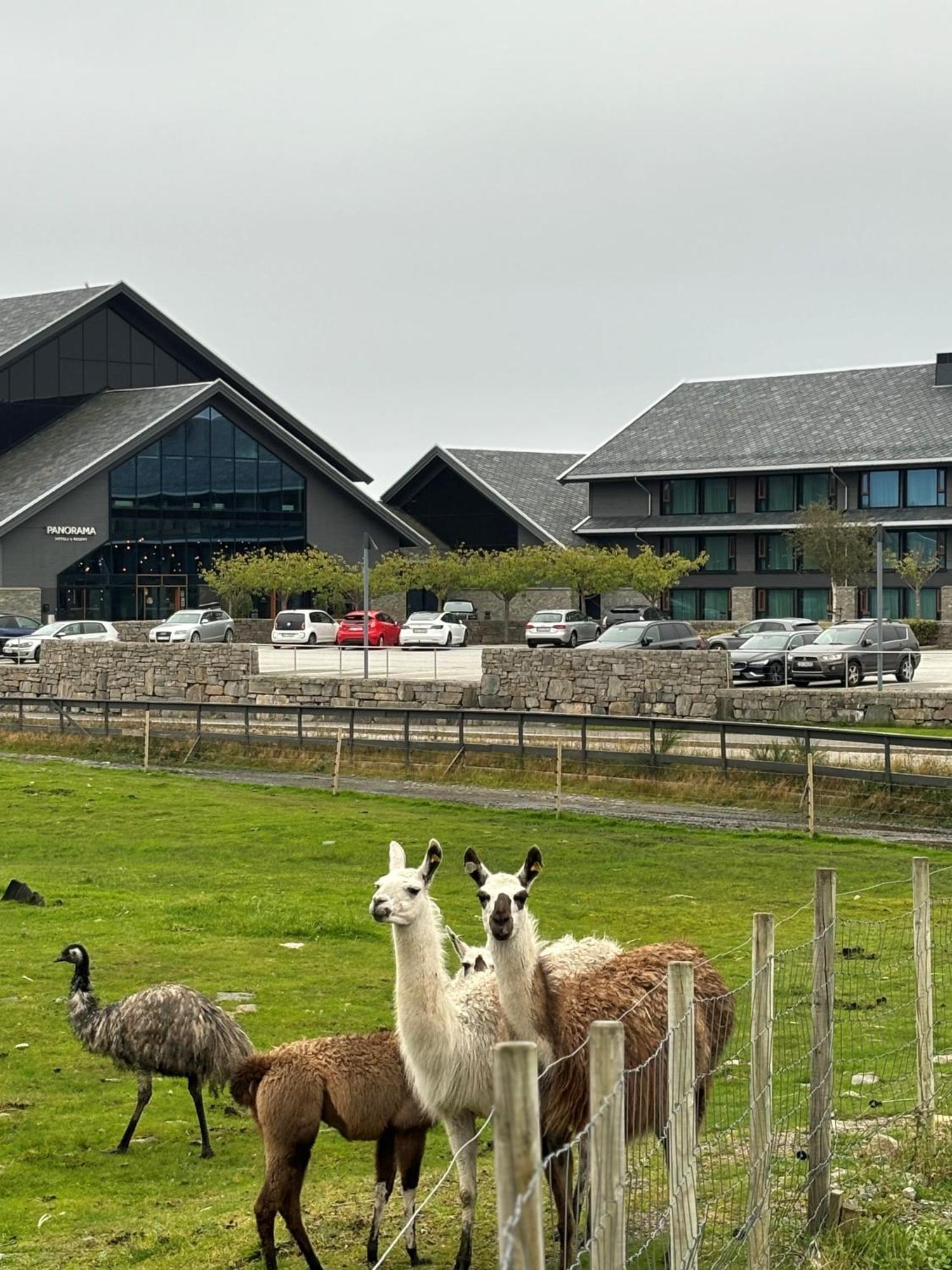 Koselig Stort Gardshus, M/boblebad. Bat Leies Feriehus